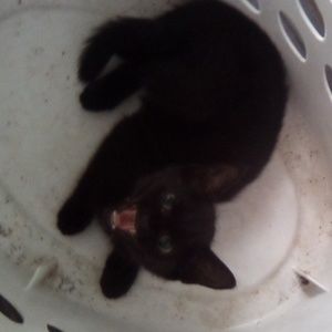 Meet your Posher, Reece